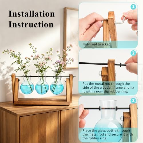 XXXFLOWER Plant Terrarium Kit with Wooden Stand 3 Gradient Blue Bulb Vases - Image 3