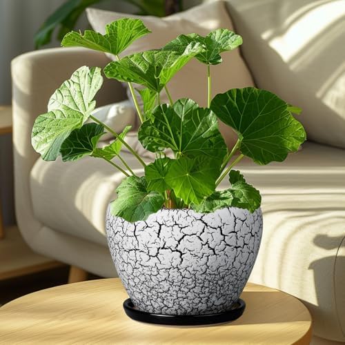 Ceramicfor Ceramic Plant Pot 8 Inch, Glaze White and Black - Image 2