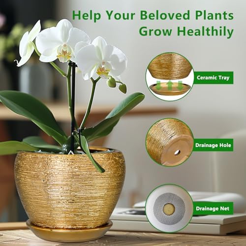 Ceramicfor Indoor Plant Pot 6 Inch - Ceramic Pot for Plants Outdoor Planter with Drainage Hole and Saucer Round Decorative Planter Modern Flower Pot for Home Decor Gold - Image 6