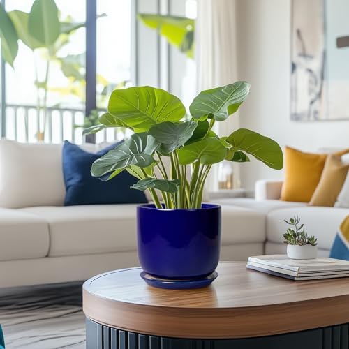 Ceramic Flower Pot 7 Inch - Cylinder 7 Inch Round Planter for Cactus Orchid Plants with Drainage Hole and Saucer, Home Office Room Desk Decor, Blue - Image 2