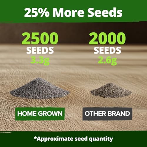 HOME GROWN Ivory Castle Poppy 2500 Flower Seeds Eschscholzia californica - Image 4
