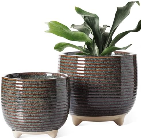 LE TAUCI Ceramic Plant Pots, 5.1 + 6.4 Inch Footed Pots for Plants, Modern Flower Pots for Home and Office, Indoor Planters with Drainage, Reactive Glaze Black by LETAUCI