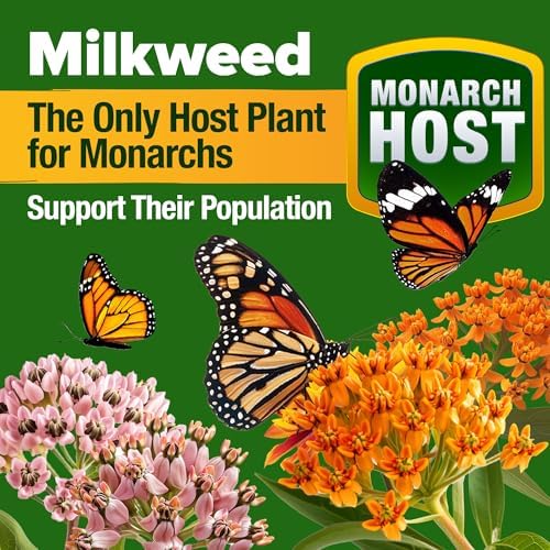 HOME GROWN Monarch Butterfly Wildflower Mix Seeds, 20,000+ Seeds, 2 oz - Image 3