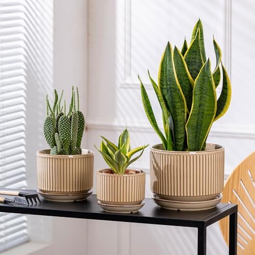 SURE YUESI Ceramic Plant Pots Set of 3, Indoor Outdoor Planters with Drainage Hole and Saucer, Ceramic Flower Pots for Indoor Plants, 4.3+5.5+6.8 Inch, Home, Garden, Patio and Office, Glossy Beige - Image 5