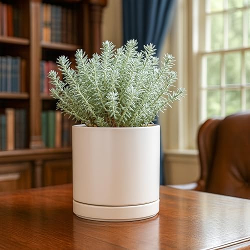 D'vine Dev 6.5 Inch Ceramic Planter Pot, Oatmeal, 94-O-C-8 - Image 5
