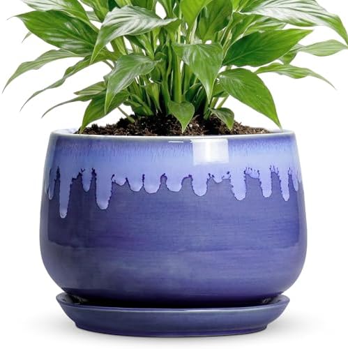 Ceramic Flower Pots, 7 Inch Indoor Planter with Drainage, Blue by Fivepot