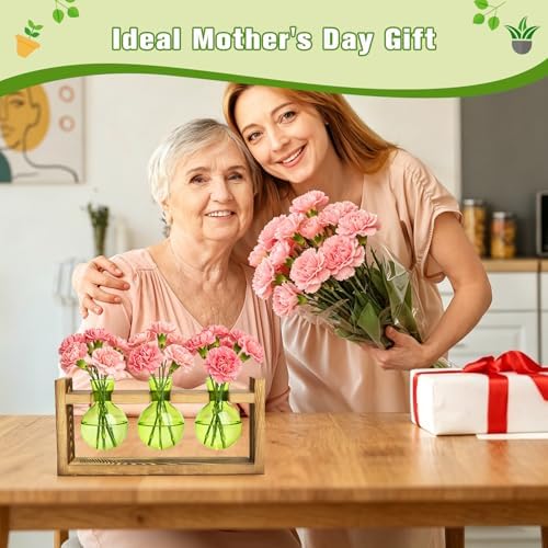 XXXFLOWER Plant Terrarium Jar Propagation Station Stand 3 Green Bulb Vases - Image 3