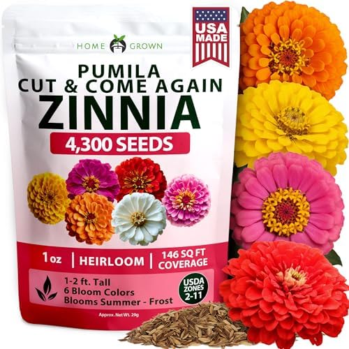 HOME GROWN Zinnia Seeds, Pumila Mix, 4,300 Seeds, Zinnia elegans by HOMEGROWN