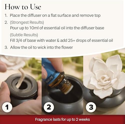 Airomé White Succulent, Porcelain Passive Essential Oil Diffuser (with 15ml Peppermint Essential Oil) – Non-Electric, Battery-Free, Improves Sleep, and Relieves Stress - Image 5