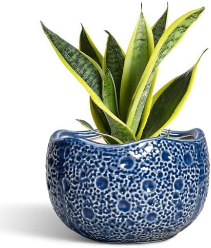 Ceramic Pots for Plants - 8 Inch Round Planter with Drainage Hole, Round Decorative Plant Pots for Indoor Outdoor, Modern Unique Flower Pot, House Living Room Decor, Home Gifts, Blue by Thirtypot