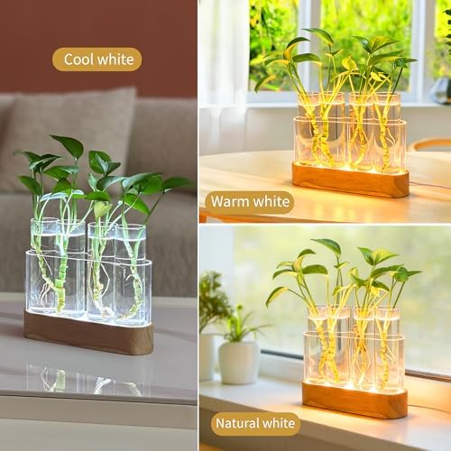 Plant Propagation Station with LED Grow Lights, 4 Glass Tubes & Oak Stand - Image 3