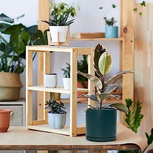 D'vine Dev 8 Inch Ceramic Planter Pot, Teal, 94-O-D-9 - Image 5