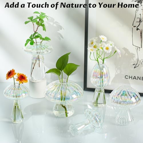 Plant Propagation Station, Set of 6 Clear Glass Mushroom Vase - Image 2