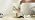 VIHOSE Christmas Table Lamp Indoor Vintage Lamp Shades - Image 7