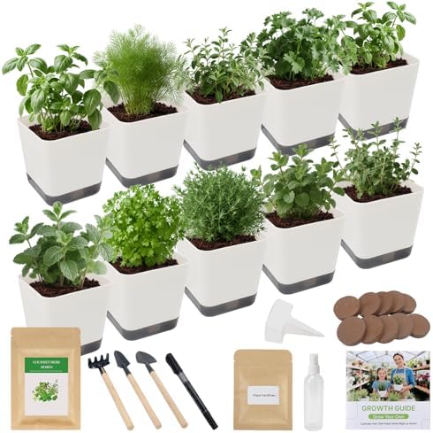 10-Set Indoor Herb Garden Starter Kit, 7 Seeds Growing into Basil, Parsley, Thyme, Mint, Cilantro, Dill, Oregano Including 10 White Pots, Markers, Nutritional Soil, Ideal Christmas Gifts for Women by Unknown