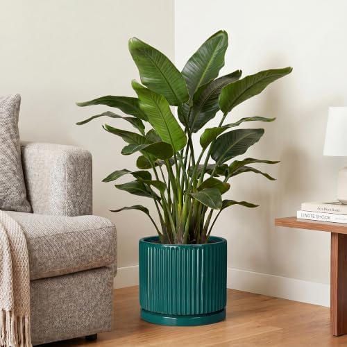 Ceramic Flower Pots, 10 Inch Planter with Saucer, Blackish Green - Image 4