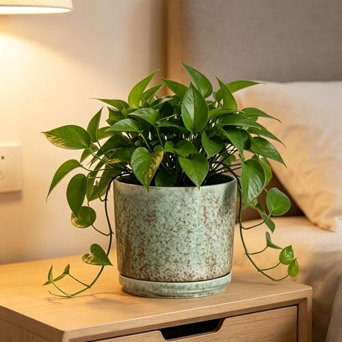 Ekirlin 7 Inch Modern Plant Pot, Ceramic Glaze Planters for Indoor Plants, Round Flower Pots with Drainage Hole and Saucer, Orchid Planter Pot for Succulent, Pothos, Snake Plant,Gift for Plant, Green - Image 7