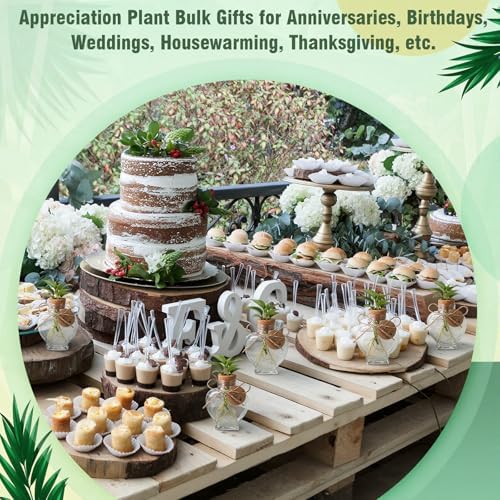 24 Pack 3.74'' Heart Plastic Plant Propagation Stations with Hole Lid - Image 7