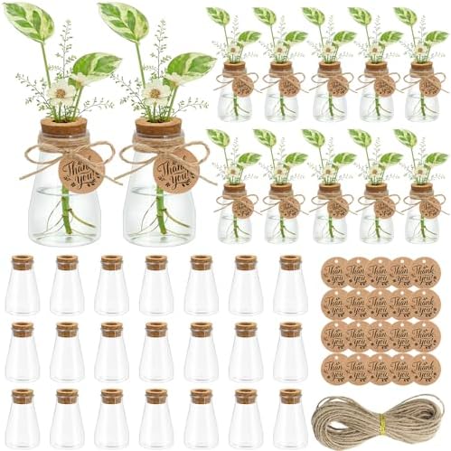 30PCS Plant Propagation Stations 3.35'' Plastic Propagation Jars Clear Vase by MajhullaSuppliers