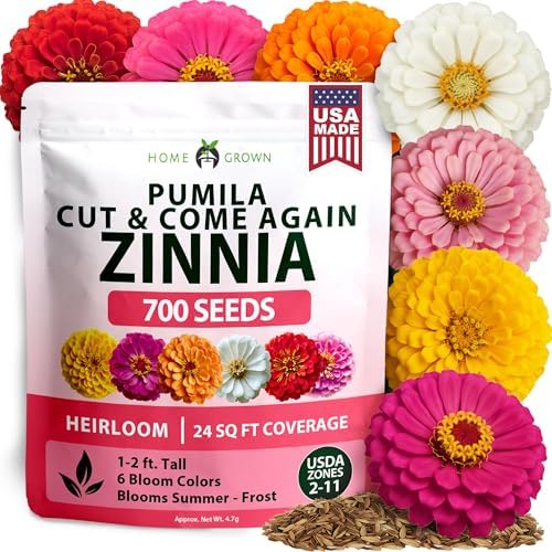 HOME GROWN Pumila Dwarf Zinnia Mix 700 Flower Seeds Zinnia elegans by HOMEGROWN