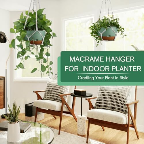 2 Pack 10 Inch Hanging Planters for Indoor Plants with Self Watering Design - Image 2