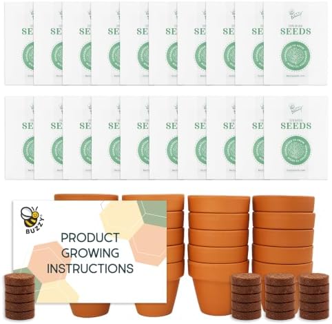 Buzzy Seeds Spruce Tree Grow Kit, 20-Pack Bulk Terracotta Pots, Bonsai by BUZZY