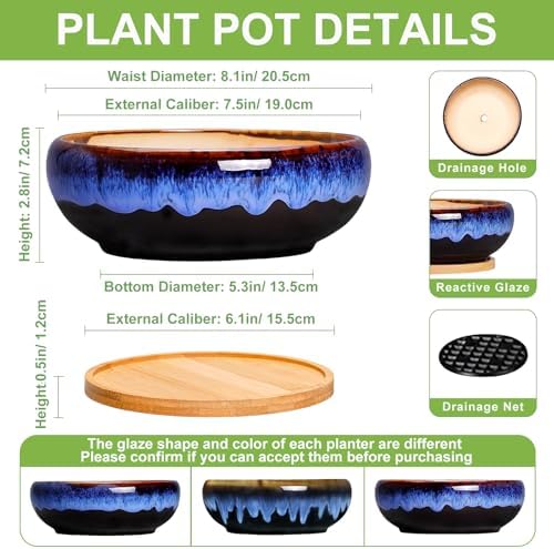 SQOWL 7 Inch Round Ceramic Succulent Planter Pot Drip Glazed Shallow Planter with Drainage Bamboo Tray for Indoor Plants - Image 2