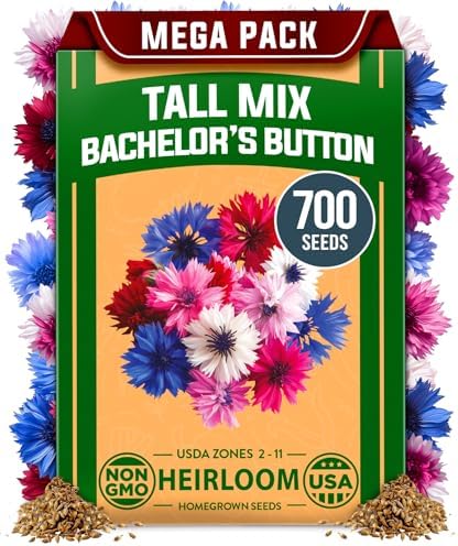 HOME GROWN Bachelor Button Tall Mix 700+ Flower Seeds Centaurea cyanus by HOMEGROWN