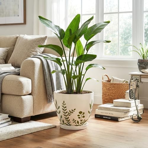 MPotTo 10 Inch Plant Pot - Ceramic Planter for Indoor Outdoor Flowers, Decorative Round Indoor Flower Pot with Drainage Hole and Saucer, Plant Lover Gifts, Garden Patio Home Office Decor, White - Image 3