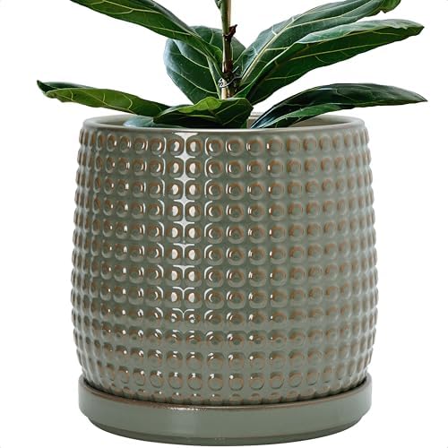 D'vine Dev Beaded Ceramic Pot with Saucer, 10 in, Olive, 27-C-P-0 by DvineDevPlanterPotsandStand