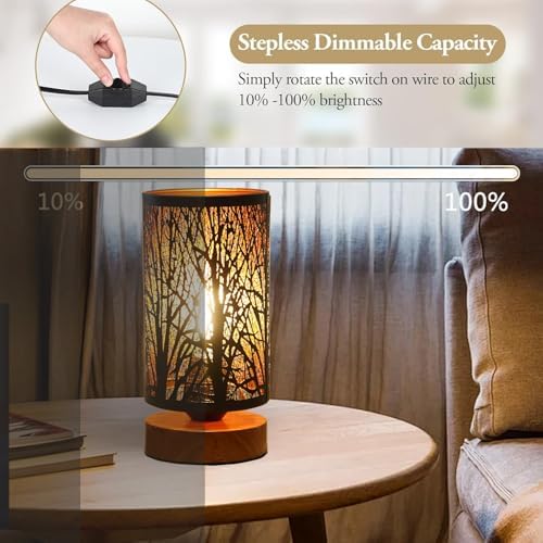 Small Industrial Table Lamps Dimmable, Bedside Lamps for Nightstand,End Table Side Desk lamp with Rustic Black Metal Cage Lampshade for Bedroom, Kids Room Living Room - Image 2