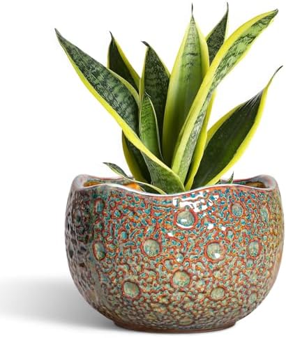 8 Inch Plant Pot - Ceramic Planter for Indoor Outdoor Plants, Unique Pots for Plants with Drainage Hole and Plug, Round Planter, Garden Decor, Gifts for Plant Lovers, Speckled-Brown by Thirtypot