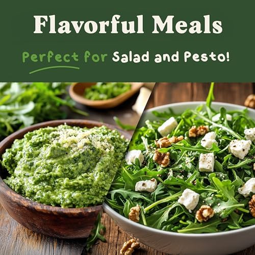 Seedboy Organic Non-GMO Herb Seeds for Planting (Slow Bolt Arugula) - Image 5