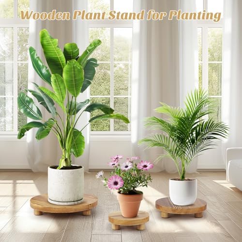 Wooden Plant Stands,Wood Risers Indoor Outdoor for Decor,Wooden Stool Display Stand for Home Table Bathroom Kitchen,Round Brown,3PCS - Image 6