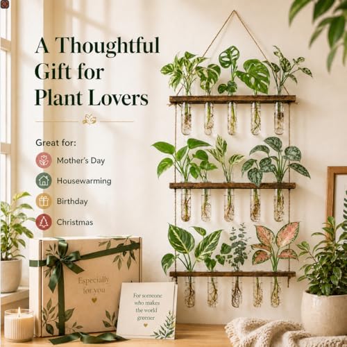 3 Tier Wall Hanging Propagation Stations with 15 Glass Test Tubes, Plant Terrarium Propagation Tubes Planter for Hydroponic Cuttings, Window Decor Gift for Plant Lovers - Image 2