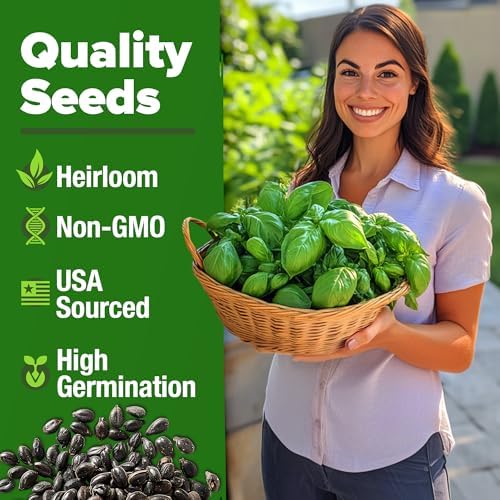 HOME GROWN Genovese Basil Seeds, 1,750+ Seeds, Ocimum basilicum - Image 2
