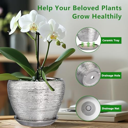 Ceramicfor Ceramic Planter - 6 Inch Plant Pot Indoor with Drainage Hole and Saucer Outdoor Pot for Plants Round Decorative Planter Modern Mid-Century Flower Pot for Office Decor Silver - Image 6