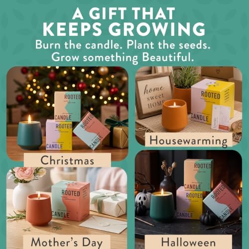 Modern Sprout Soy Candle Planter - Grows Thyme - Tonka Bean Scent - 6 oz - Image 5