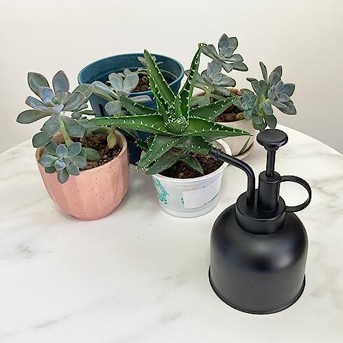Stainless Steel Plant Sprayer, Small Watering Can, Modern Gardening Tool for Indoor Potted Plants - Image 4