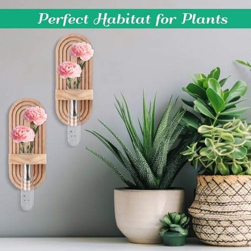 Beeveer 4 Sets Hanging Plant Propagation Stations Walnut Wood Wall Mounted Test Tube Vase Rustic Decorative Glass Planter Holder Gift for Women Plant Lover Hydroponic Flowers Home and Office Decor - Image 4