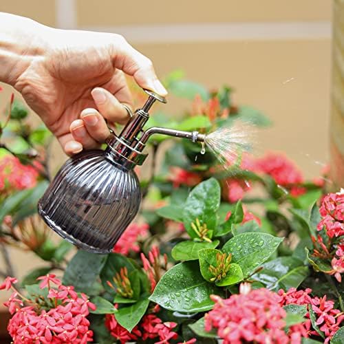 Glass Plant Mister Spray Bottle, Succulent Spray Bottle with Top Pump, Glass Plant Sprayer Mister Vintage Spritzer Small Watering Can for Indoor Outdoor Houseplant - Grey - Image 4