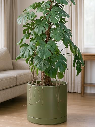 D'vine Dev 14 Inch Ceramic Planter Pot, Olive, 94-O-G-J - Image 6