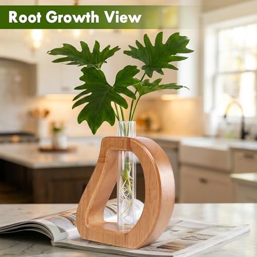 Glass Test Tube Plant Propagation Terrarium Station - Image 5