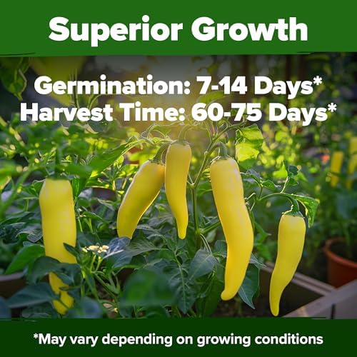 HOME GROWN Banana Pepper Seeds, 94+ Seeds, Capsicum annuum - Image 5