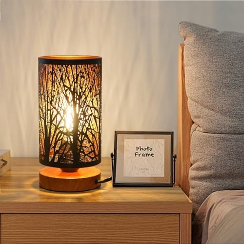 Small Industrial Table Lamps Dimmable, Bedside Lamps for Nightstand,End Table Side Desk lamp with Rustic Black Metal Cage Lampshade for Bedroom, Kids Room Living Room by Tingsizelighting