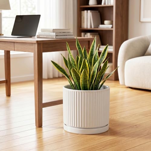 10 Inch Plant Pot, Ceramic Planters, Round Flower Pots, White - Image 3