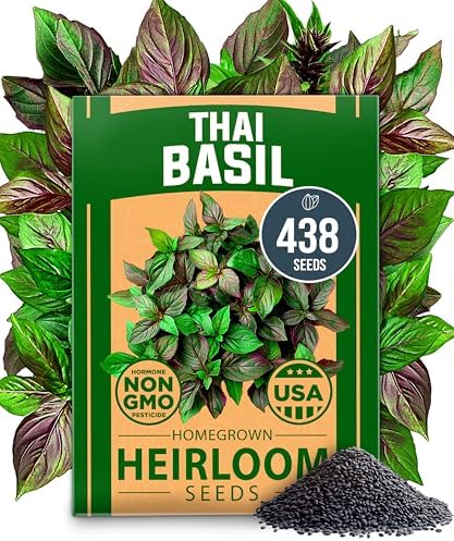 HOME GROWN Thai Basil Seeds, 438 Seeds, Ocimum basilicum VAR. thyrsiflora by HOMEGROWN