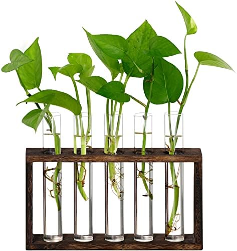 XXXFLOWER 5Test Tube Plant Propagation Station Plant Terrarium Wooden Stand by XXXFLOWER