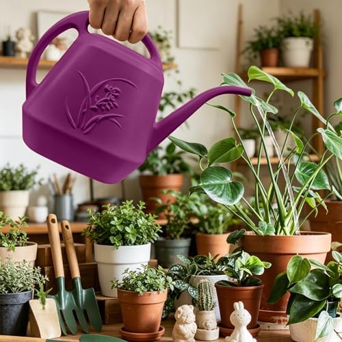 Plastic Watering Can - 1/2 Gallon - Rose Red - Image 6