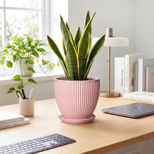 8 Inch Plant Pots Indoor, Ceramic Plant Pot for Snake Plants Flowers, Round Planters with Drainage Hole and Saucer, Decorative Modern Flower Pot, Kitchen Decor, Gifts for Plant Lovers, Pink - Image 3